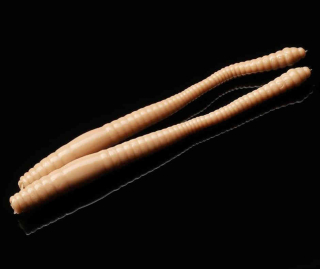 Libra Lures Dying Worm 70 - Pellet (Cheese) /15 ks