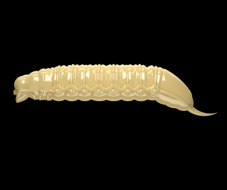 Libra Lures Goliath 30 - Cheese (Cheese) /12 ks