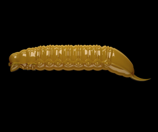 Libra Lures Goliath 30 - Coffe Milk (Cheese) /12 ks