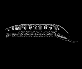 Libra Lures Goliath 30 - Black (Cheese) /12 ks