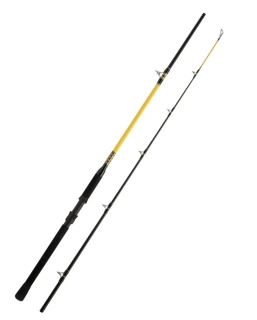WFT Prut Never Crack Catfish Boat 300cm/250-1000g/2 díly