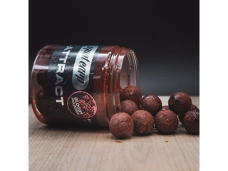 Squat Carp HI-ATTRACT Boilies v dipu Bloody Mulberry 20mm/220g