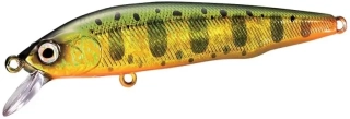 Shimano Wobler Lure Cardiff Flügel Flat 70 Gold Yamame 7 cm