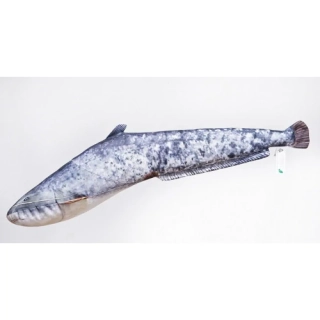 GABY Polštář Sumec velký 62 cm